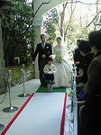 NEC_1315.JPG