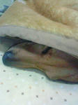 NEC_1344.JPG
