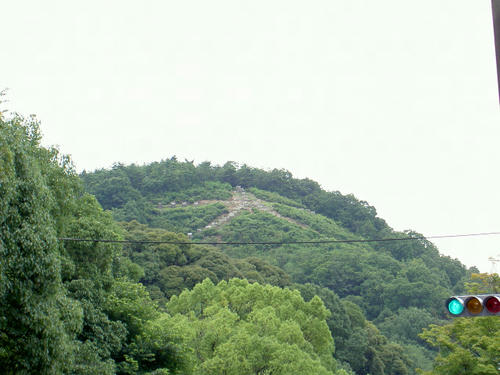 PICT1631.JPG