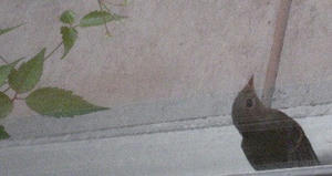 091023_8803.JPG