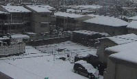 091214-8596_IMG.JPG