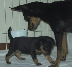 091214-8762_IMG.JPG