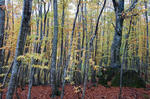 DSC_0020m.jpg
