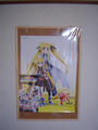 DSC00929.jpg