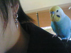 200901011402000.jpg