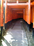 PAP_0058.jpg