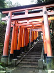 PAP_0070.jpg