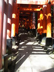 PAP_0071.jpg