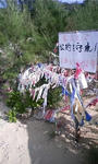 PA0_0058.JPG