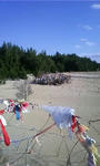 PA0_0060.JPG