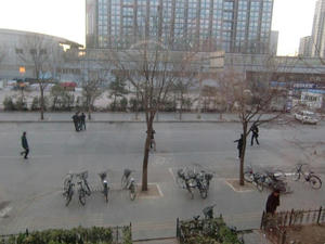 puropa1.JPG