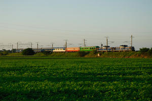kitahiro-shimamatsu24.jpg