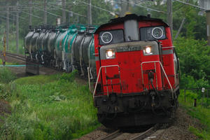 kitahiro-shimamatsuDD517.jpg
