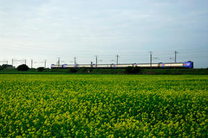kitahiro-shimamatsu2834.jpg