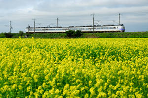 kitahiro-shimamatsu781.jpg