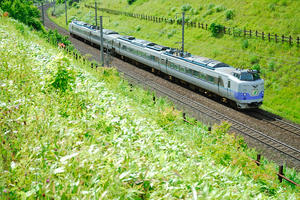 todoyama7812.jpg