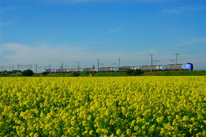 kitahiro-shimamatsu2815.jpg