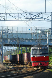 shimamatsuDF200.jpg