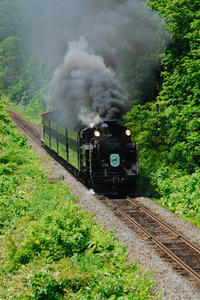 C11207.jpg