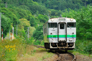 wakana40.jpg