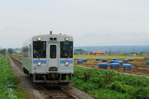 shikauchi150.jpg