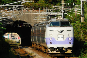 bokoi781.jpg