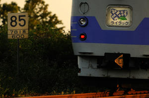 781image1.jpg