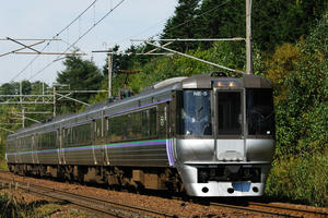 785suzuran.jpg