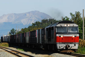 DF200kogane.jpg