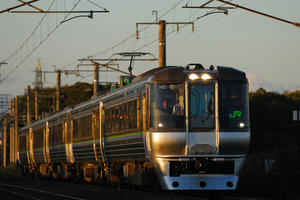 785suzuran2.jpg