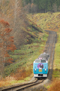 asahiyama_bibaushi.jpg
