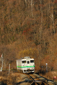 40shimanoshita.jpg