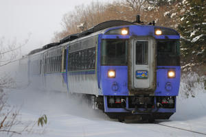 183shimonuma.jpg