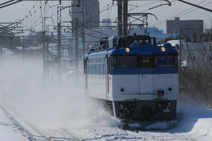 ED79shinrinkoen.jpg