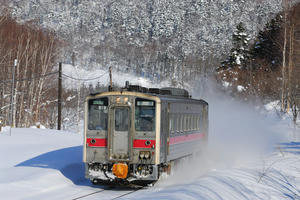 54saku.jpg
