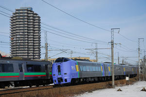 261shinrinkouen.jpg