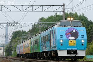 362a8186.jpg