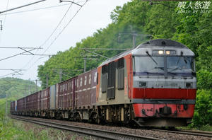 DF200kaminopporo.jpg