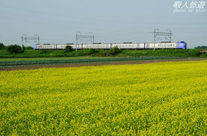 261shimamatsu1.jpg
