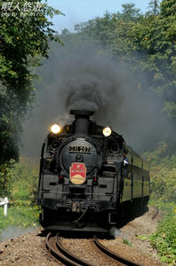 C11200kp.jpg