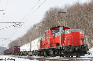 DD51kaminopporo14.jpg