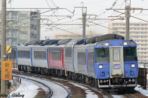 183shinsapporo2.jpg