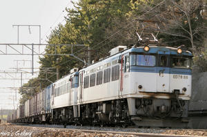 ED79kamaya2.jpg