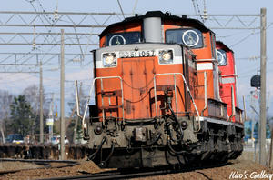 DD51toyohoro32.jpg