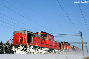 100207_1.jpg