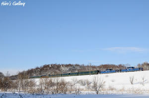 110111_1.jpg