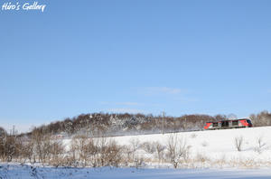 110112_1.jpg