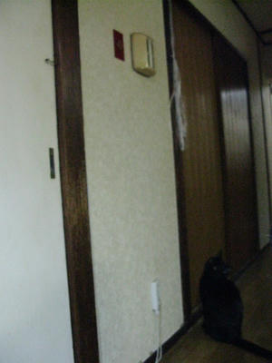 IMG_1266.JPG