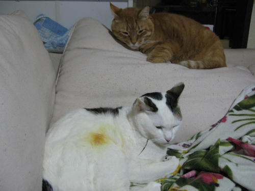 IMG_1420.JPG