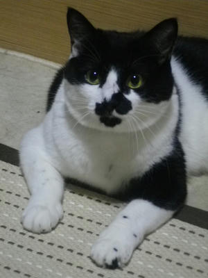 IMGP2878.JPG